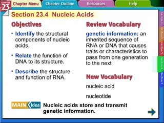 Section 23-4 Section 23.4  Nucleic Acids Identify  the structural components of nucleic acids. genetic information:  an inherited sequence of RNA or DNA that causes traits or characteristics to pass from one generation to the next nucleic acid nucleotide Relate  the function of DNA to its structure. Describe  the structure and function of RNA. Nucleic acids store and transmit genetic information. 