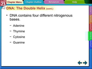 Section 23-4 DNA: The Double Helix  (cont.) DNA contains four different nitrogenous bases. Adenine Thymine Cytosine Guanine 