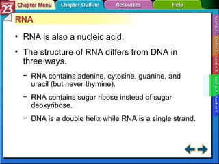 Section 23-4 RNA RNA is also a nucleic acid. The structure of RNA differs from DNA in three ways. RNA contains adenine, cytosine, guanine, and uracil (but never thymine). RNA contains sugar ribose instead of sugar deoxyribose. DNA is a double helix while RNA is a single strand. 
