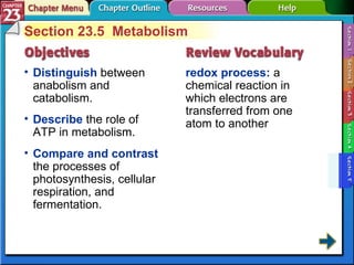 Section 23-5 Section 23.5  Metabolism Distinguish  between anabolism and catabolism. redox process:  a chemical reaction in which electrons are transferred from one atom to another Describe  the role of ATP in metabolism.  Compare and contrast  the processes of photosynthesis, cellular respiration, and fermentation. 