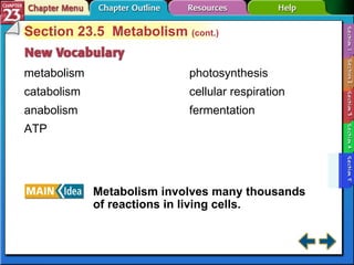 Section 23-5 Section 23.5  Metabolism  (cont.) metabolism catabolism anabolism ATP Metabolism involves many thousands of reactions in living cells. photosynthesis cellular respiration fermentation 