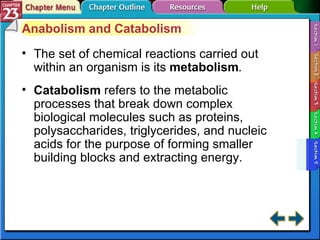 Section 23-5 Anabolism and Catabolism The set of chemical reactions carried out within an organism is its  metabolism . Catabolism  refers to the metabolic processes that break down complex biological molecules such as proteins, polysaccharides, triglycerides, and nucleic acids for the purpose of forming smaller building blocks and extracting energy. 
