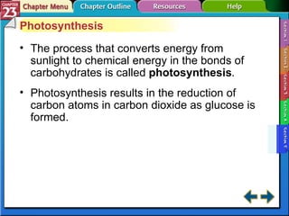 Section 23-5 Photosynthesis The process that converts energy from sunlight to chemical energy in the bonds of carbohydrates is called  photosynthesis . Photosynthesis results in the reduction of carbon atoms in carbon dioxide as glucose is formed. 
