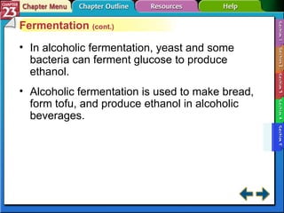 Section 23-5 Fermentation  (cont.) In alcoholic fermentation, yeast and some bacteria can ferment glucose to produce ethanol. Alcoholic fermentation is used to make bread, form tofu, and produce ethanol in alcoholic beverages. 