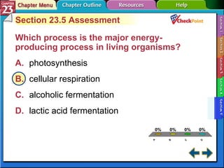 A B C D Section 23-5 Section 23.5 Assessment Which process is the major energy-producing process in living organisms?  A. photosynthesis   B. cellular respiration   C. alcoholic fermentation   D. lactic acid fermentation   