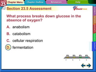 A B C D Section 23-5 Section 23.5 Assessment What process breaks down glucose in the absence of oxygen?  A. anabolism   B. catabolism   C. cellular respiration   D. fermentation   
