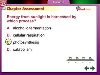 A B C D Chapter Assessment 5 Energy from sunlight is harnessed by which process?  A. alcoholic fermentation   B. cellular respiration   C. photosynthesis   D. catabolism   