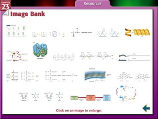 IB Menu Click on an image to enlarge. 