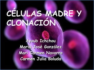 CÉLULAS MADRE Y
CLONACIÓN
Ayoub Ichchou
María José González
Mari Carmen Navarro
Carmen Julia Boluda

 