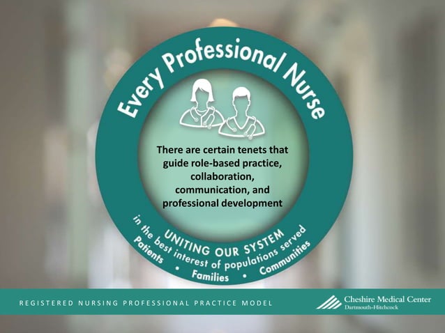 Professional Practice Model | PPTX