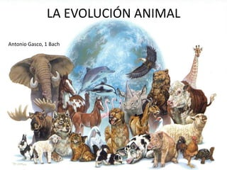 LA EVOLUCIÓN ANIMAL
Antonio Gasco, 1 Bach

 
