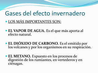 Gases del efecto invernadero
 LOS MÁS IMPORTANTES SON:

 EL VAPOR DE AGUA. Es el que más aporta al
  efecto natural.

 EL DIÓXIDO DE CARBONO. Es el emitido por
 los volcanes y por los organismos en su respiración.

 EL METANO. Expuesto en los procesos de
  digestión de los rumiantes, en vertederos y en
 ciénagas.
 