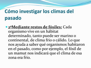 Cómo investigar los climas del
pasado
 2ªMediante restos de fósiles: Cada
 organismo vive en un hábitat
 determinado, tanto puede ser marino o
 continental, de clima frio o cálido. Lo que
 nos ayuda a saber qué organismos habitaron
 en el pasado, como por ejemplo, el fósil de
 un mamut nos indicará que el clima de esa
 zona era frio.
 
