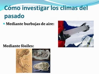 Cómo investigar los climas del
pasado
 Mediante burbujas de aire:




Mediante fósiles:
 