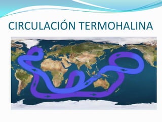 CIRCULACIÓN TERMOHALINA
 