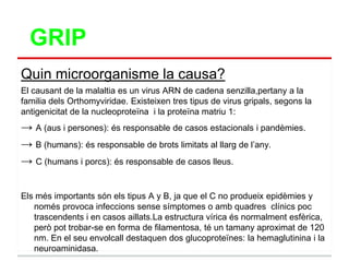 GRIP
Quin microorganisme la causa?
El causant de la malaltia es un virus ARN de cadena senzilla,pertany a la
familia dels Orthomyviridae. Existeixen tres tipus de virus gripals, segons la
antigenicitat de la nucleoproteïna i la proteïna matriu 1:
→ A (aus i persones): és responsable de casos estacionals i pandèmies.
→ B (humans): és responsable de brots limitats al llarg de l‟any.
→ C (humans i porcs): és responsable de casos lleus.

Els més importants són els tipus A y B, ja que el C no produeix epidèmies y
   només provoca infeccions sense símptomes o amb quadres clínics poc
   trascendents i en casos aillats.La estructura vírica és normalment esfèrica,
   però pot trobar-se en forma de filamentosa, té un tamany aproximat de 120
   nm. En el seu envolcall destaquen dos glucoproteïnes: la hemaglutinina i la
   neuroaminidasa.
 