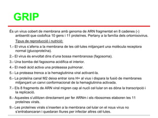 GRIP
És un virus cobert de membrana amb genoma de ARN fragmentat en 8 cadenes (-)
   antisentit que codofica 10 gens i 11 proteïnes. Pertany a la família dels ortomixovirus.
   Tipus de reproducció i nutrició:
1.- El virus s‟aferra a la membrana de les cèl·lules mitjançant una molècula receptora
    normal (glucoproteïna).
2.- El virus és envoltat dins d‟una bossa membranosa (fagosoma).
3.- Una bomba del fagosoma acidifica el interior.
4.- El medi àcid activa una proteassa pulmonar.
5.- La proteasa trenca a la hemaglutinina viral activant-la.
6.- La proteïna canal M2 deixa entrar ions H+ al vius i dispara la fusió de membranes
    mitjançant un canvi conformacional de la hemaglutinina activada.
7.- Els 8 fragments de ARN viral migren cap al nucli cel·lular on es dóna la transcripció i
    la replicació.
8.- Aquestes s‟utilitzen directament per fer ARNm i els ribosomes elaboren les 11
    proteïnes virals.
9.- Les proteïnes virals s‟inserten a la membrana cel·lular on el nous virus no
    s‟entrabancaran i quedaran lliures per infectar altres cèl·lules.
 
