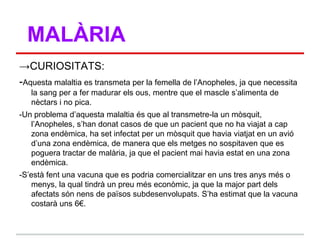MALÀRIA
→CURIOSITATS:
-Aquesta malaltia es transmeta per la femella de l‟Anopheles, ja que necessita
   la sang per a fer madurar els ous, mentre que el mascle s‟alimenta de
   nèctars i no pica.
-Un problema d‟aquesta malaltia és que al transmetre-la un mòsquit,
   l‟Anopheles, s‟han donat casos de que un pacient que no ha viajat a cap
   zona endèmica, ha set infectat per un mòsquit que havia viatjat en un avió
   d‟una zona endèmica, de manera que els metges no sospitaven que es
   poguera tractar de malària, ja que el pacient mai havia estat en una zona
   endèmica.
-S‟està fent una vacuna que es podria comercialitzar en uns tres anys més o
    menys, la qual tindrà un preu més econòmic, ja que la major part dels
    afectats són nens de països subdesenvolupats. S‟ha estimat que la vacuna
    costarà uns 6€.
 