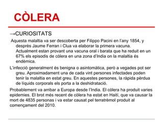 CÒLERA
→CURIOSITATS
Aquesta malaltia va ser descoberta per Filippo Pacini en l‟any 1854, y
  desprès Jaume Ferran i Clua va elaborar la primera vacuna.
  Actualment estan provant una vacuna oral i barata que ha reduit en un
  67% els episodis de còlera en una zona d‟India on la malaltia és
  endèmica.
L‟infecció generalment és benigna o asintomàtica, però a vegades pot ser
    greu. Aproximadament una de cada vint persones infectades poden
    tenir la malaltia en estat greu. En aquestes persones, la ràpida pèrdua
    de líquids corporals els porta a la deshidratació.
Probablement va arribar a Europa desde l‟India. El còlera ha produit varies
epidemies. El brot més recent de còlera ha estat en Haití, que va causar la
mort de 4835 personas i va estar causat pel terratrèmol produit al
començament del 2010.
 