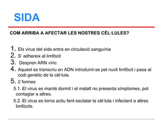 SIDA
COM ARRIBA A AFECTAR LES NOSTRES CÈL·LULES?


1. Els virus del sida entra en circulació sanguínia
2. S‟ adhereix al limfòcit
3. Despren ARN víric
4. Aquest es transcriu en ADN introduint-se pel nucli limfòcit i pasa al
    codi genètic de la cèl·lula.
5. 2 formes
 5.1. El virus es manté dormit i el malalt no presenta símptomes, pot
  contagiar a altres.
 5.2. El virus es torna actiu fent esclatar la cèl·lula i infectant a altres
  limfòcits.
 
