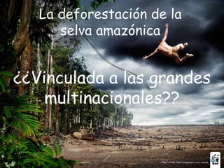 La deforestación de la
      selva amazónica


¿¿Vinculada a las grandes
    multinacionales??
 