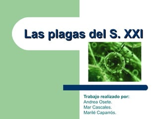 Las plagas del S. XXILas plagas del S. XXI
Trabajo realizado por:
Andrea Osete.
Mar Cascales.
Marilé Caparrós.
 