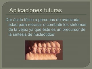 Dar ácido fólico a personas de avanzada
edad para retrasar o combatir los síntomas
de la vejez ya que éste es un precursor de
la síntesis de nucleótidos
 