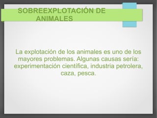 SOBREEXPLOTACIÓN DE
ANIMALES
La explotación de los animales es uno de los
mayores problemas. Algunas causas sería:
experimentación científica, industria petrolera,
caza, pesca.
 