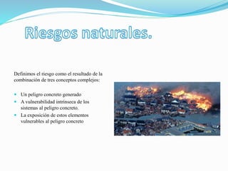 Definimos el riesgo como el resultado de la
combinación de tres conceptos complejos:
 Un peligro concreto generado
 A vu...