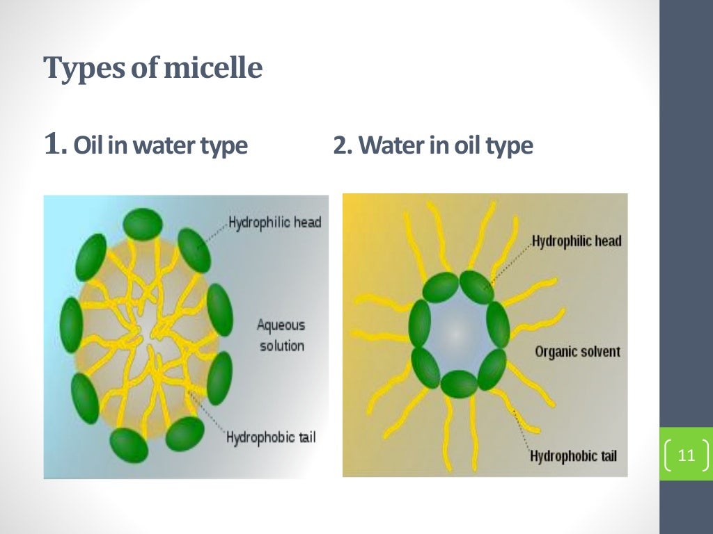 Micelle and Critical Micelle Concentration