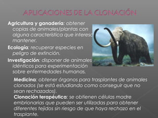 Agricultura y ganadería: obtener
copias de animales/plantas con
alguna característica que interesa
mantener.
Ecología: recuperar especies en
peligro de extinción.
Investigación: disponer de animales
idénticos para experimentación
sobre enfermedades humanas.
Medicina: obtener órganos para trasplantes de animales
clonados (se está estudiando como conseguir que no
sean rechazados).
Clonación terapéutica: se obtienen células madre
embrionarias que pueden ser utilizadas para obtener
diferentes tejidos sin riesgo de que haya rechazo en el
trasplante.
 