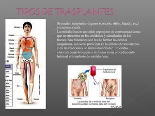 Se pueden trasplantar órganos (corazón, riñón, hígado, etc.)
y/o tejidos (piel).
La médula ósea es un tejido esponjoso de consistencia densa
que se encuentra en las cavidades y canalículos de los
huesos. Sus funciones son las de formar las células
sanguíneas, así como participar en la síntesis de anticuerpos
y en las reacciones de inmunidad celular. En ciertos
cánceres como leucemia y linfomas es un procedimiento
habitual el trasplante de médula ósea.
 
