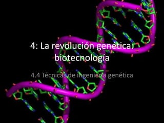 4: La revolución genética:
       biotecnología
4.4 Técnicas de ingeniería genética
 