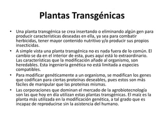 Plantas Transgénicas
• Una planta transgénica se crea insertando o eliminando algún gen para
  producir características deseadas en ella, ya sea para combatir
  herbicidas, tener mayor contenido nutritivo y/o producir sus propios
  insecticidas.
• A simple vista una planta transgénica no es nada fuera de lo común. El
  cambio se da en el interior de esta, pues aquí está lo extraordinario.
  Las características que la modificación añade al organismo, son
  heredables. Esta ingeniería genética no está limitada a especies
  compatibles.
• Para modificar genéticamente a un organismo, se modifican los genes
  que codifican para ciertas proteínas deseables, pues estos son más
  fáciles de manipular que las proteínas mismas.
• Las corporaciones que dominan el mercado de la agrobiotecnología
  son las que hoy en día utilizan estas plantas transgénicas. El maíz es la
  planta más utilizada en la modificación genética, a tal grado que es
  incapaz de reproducirse sin la asistencia del humano.
 