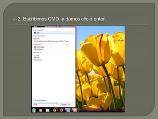 

2. Escribimos CMD y damos clic o enter.

 