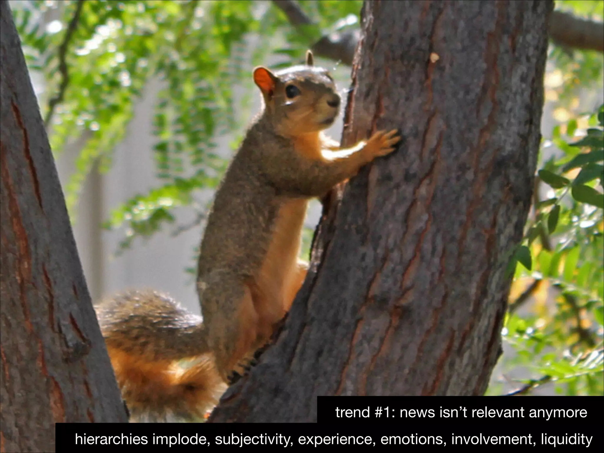 trend #1: news isn’t relevant anymore
hierarchies implode, subjectivity, experience, emotions, involvement, liquidity

 