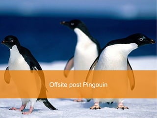 Offsite post Pingouin
 