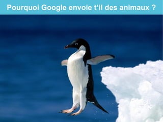 Pourquoi Google envoie t’il des animaux ?
 