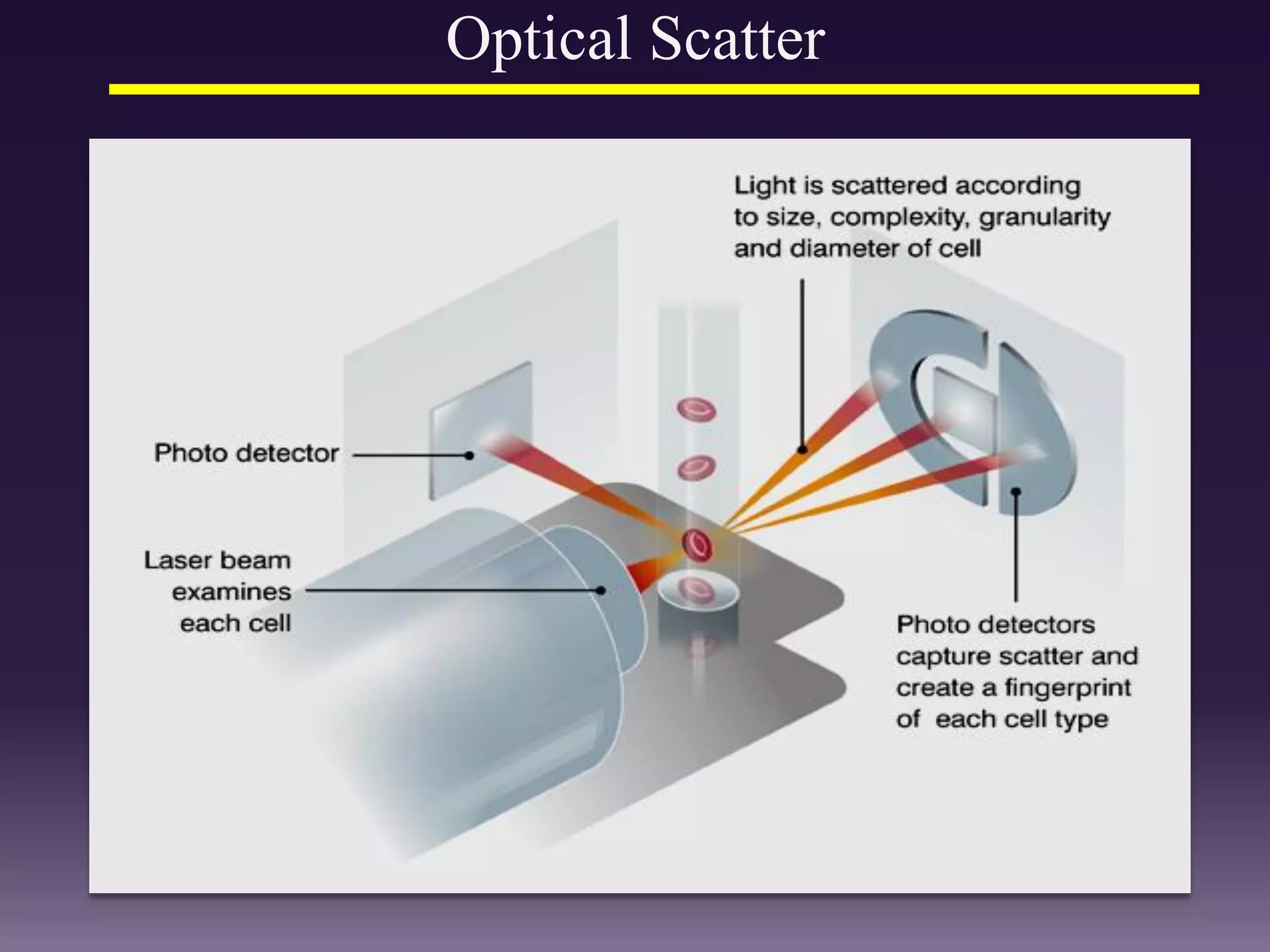 Optical Scatter
 