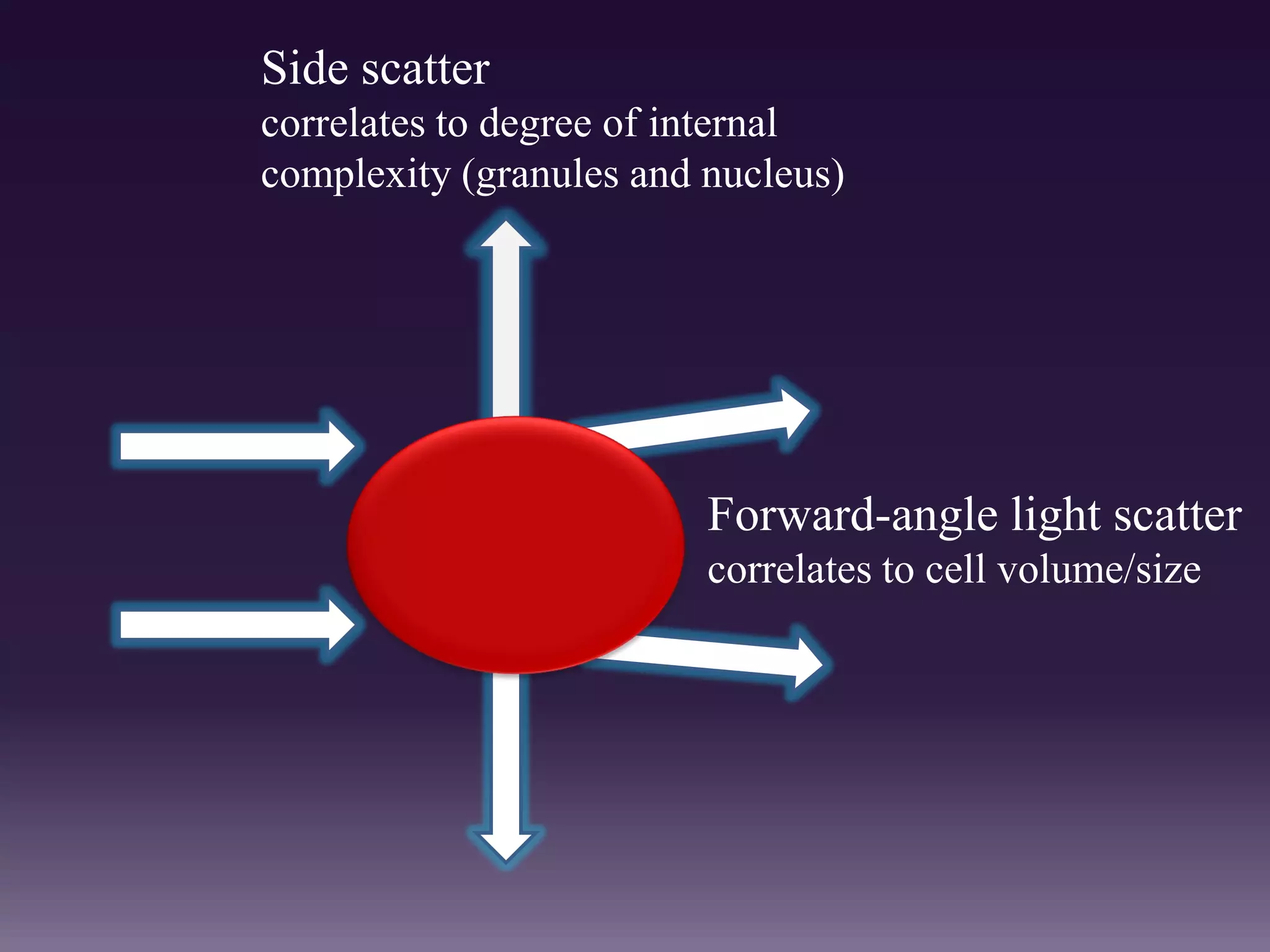 Forward-angle light scatter
correlates to cell volume/size
Side scatter
correlates to degree of internal
complexity (granules and nucleus)
 