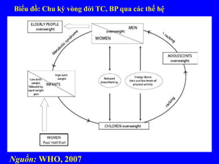 Biểu đồ: Chu kỳ vòng đời TC, BP qua các thế hệ
Nguồn: WHO, 2007
 