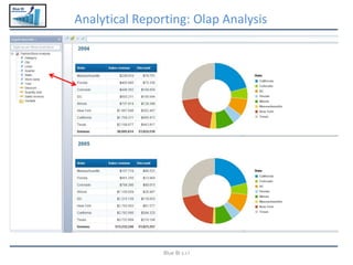Blue BI
Analytical Reporting: Olap Analysis
Blue BI s.r.l
 