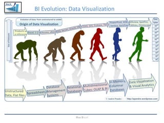 Blue BI
BI Evolution: Data Visualization
Blue BI s.r.l
 