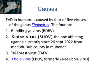 EBOV, species Zaire ebolavirus, is the most
dangerous of the known EVD-causing viruses,
and is responsible for the largest...