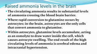 Raised ammonia levels in the brain
 The circulating ammonia results in substantial levels
of ammonia crossing the blood brain barrier.
 Where rapid conversion to glutamine occurs by
astrocytes; in the brain, astrocytes are the only cells
that convert ammonia to glutamine.
 Within astrocytes, glutamine levels accumulate, acting
as an osmolyte to draw water inside the cell, which
causes astrocyte swelling. The end result of the high
circulating levels of ammonia is cerebral edema and
intracranial hypertension.
 