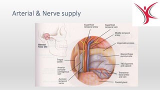 Arterial & Nerve supply
 