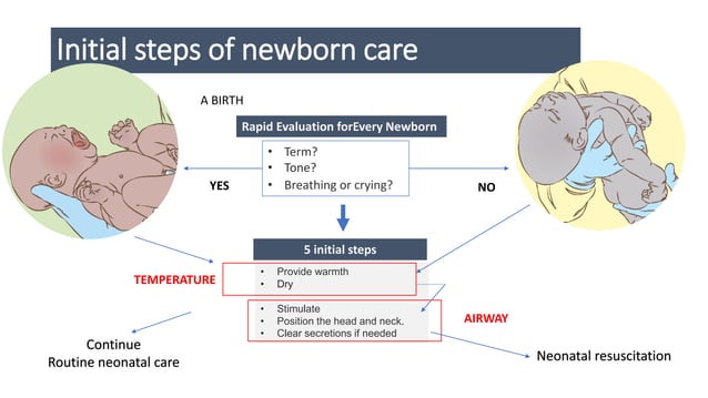 Neonatal Resuscitation by Dr Gabriel 2023 | PDF | First Aid | Injuries