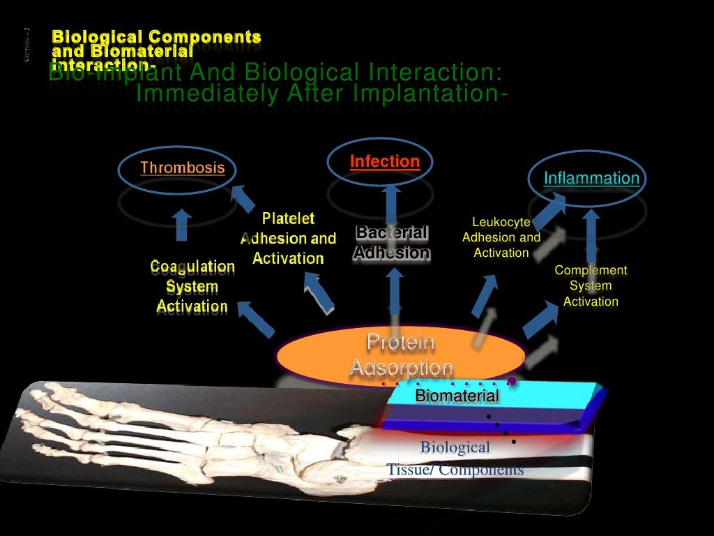 Basics of HUMAN BIOMATERIALS, IMPLANTABLE MEDICAL DEVICES AND BIOMED…
