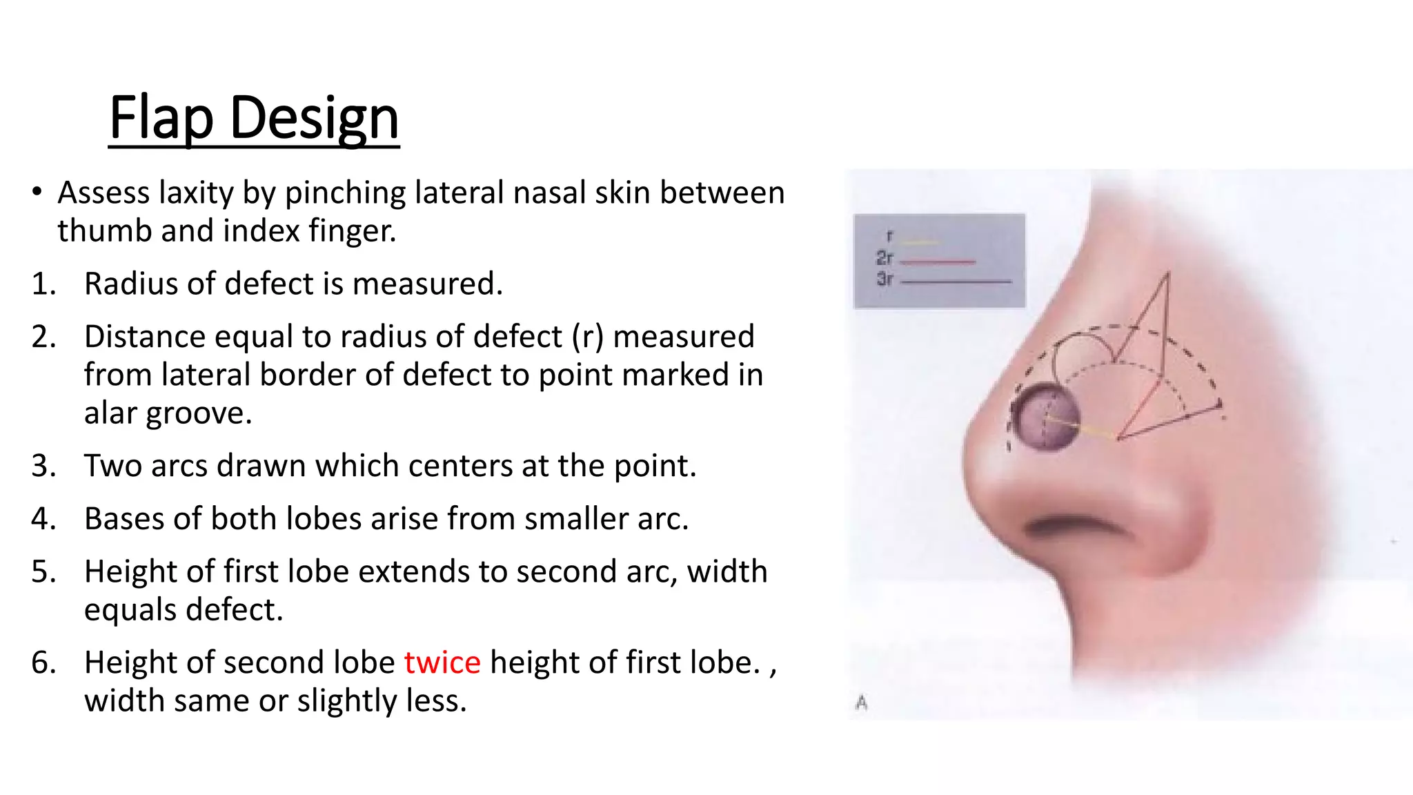 Basic Principles of Flap | PDF