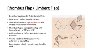 Basic Principles of Flap | PDF
